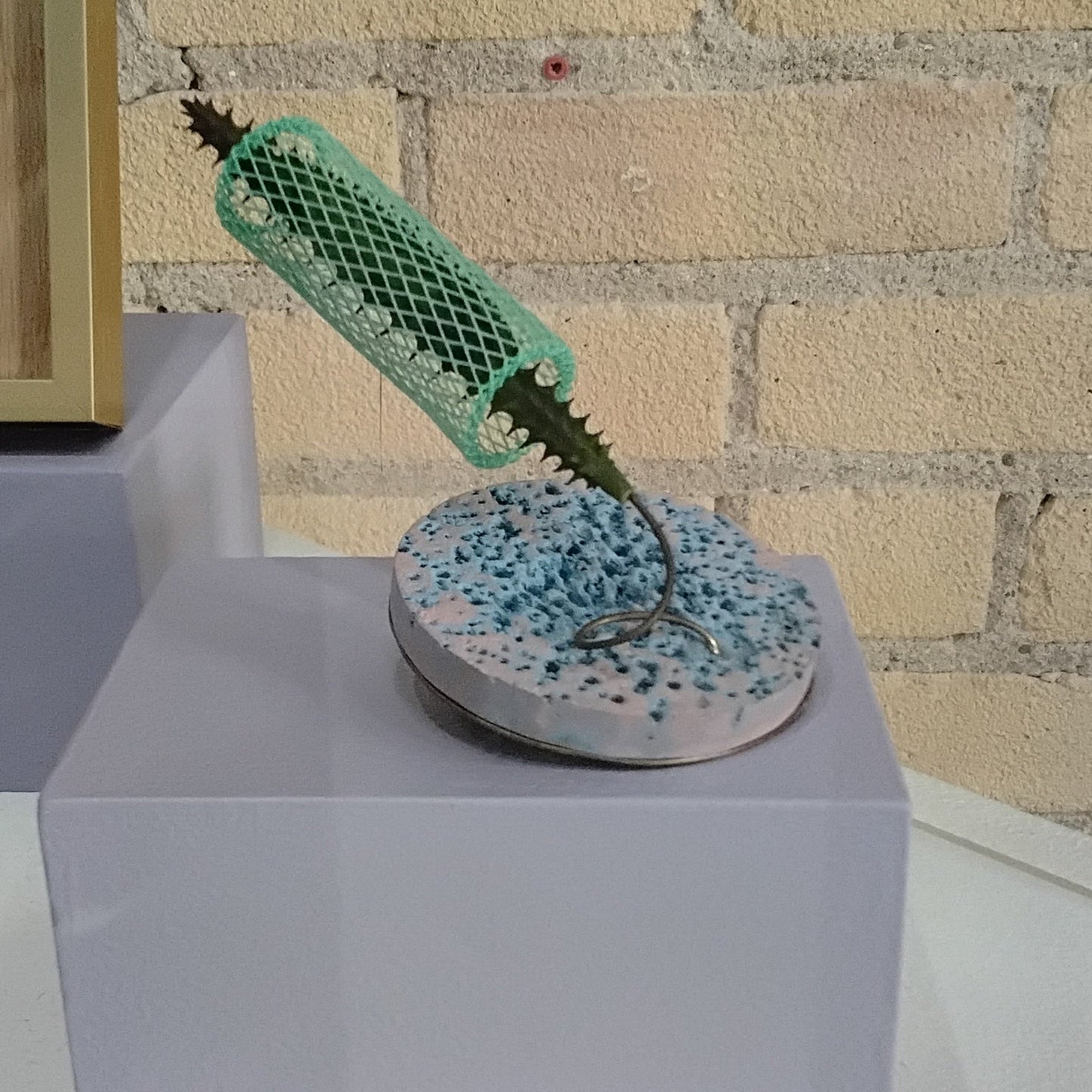 Thrives on Neglect! Holes & Nets