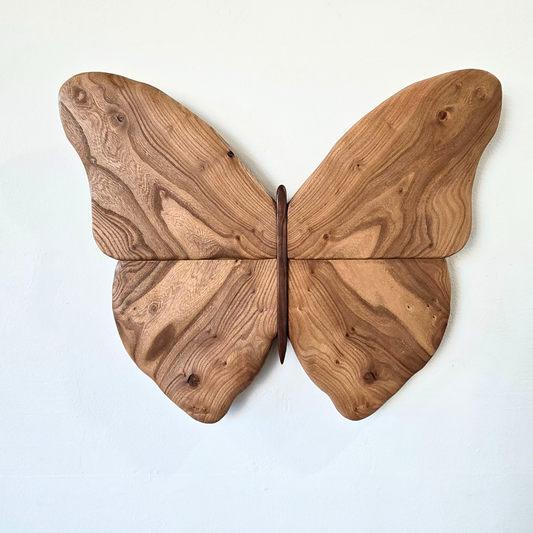 Symmetry in Nature