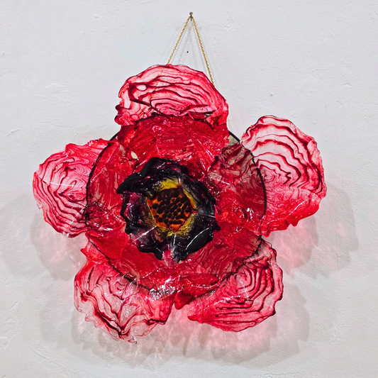 Poppy