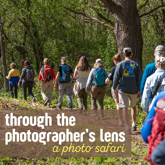 Photo Safari: Through the Photographer's Lens | Multiple Dates