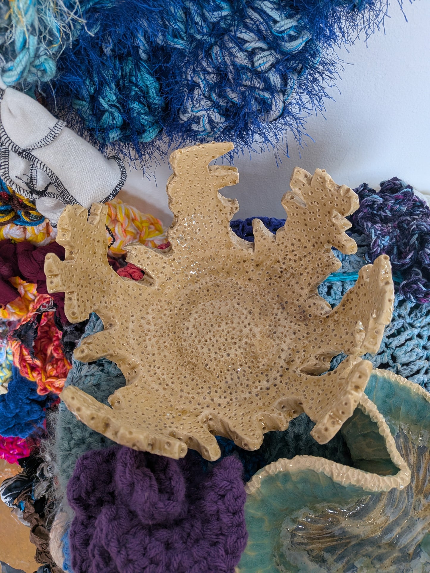 Our Reefs Our Future Pt. 1: Stronger Together